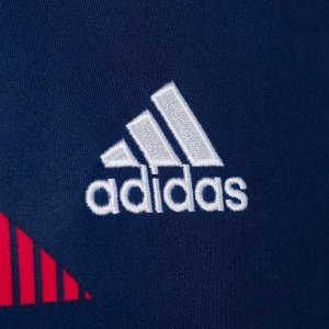 Maillot Entrainement Bayern Munich 2018 2019 Bleu