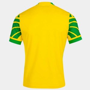 Thailande Maillot Norwich City Domicile 2021 2022