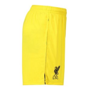 Pantalon Liverpool Domicile Gardien 2018 2019 Jaune