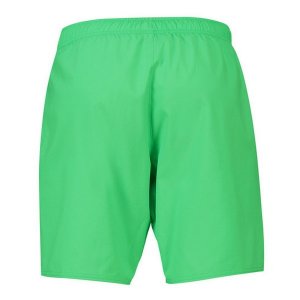 Pantalon Everton Domicile Gardien 2018 2019 Vert