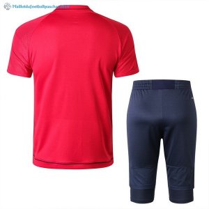Entrainement Bayern Munich Ensemble Complet 2017 2018 Rouge Bleu