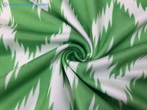 Maillot Nigeria Domicile 2018 Vert