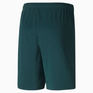 Pantalon Italie Domicile 2020 Vert